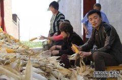 明星再红,也有回农村的时候,王宝强最接地气,而他带保镖防乡亲